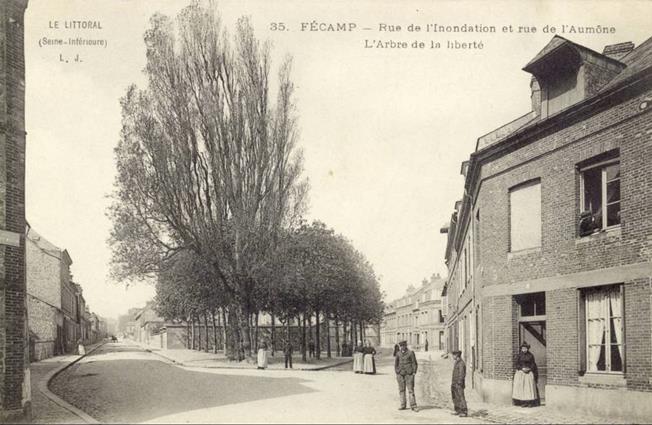 arbre-liberté