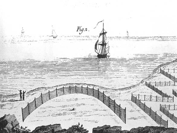 Filets pointés formant pêcherie de bas parc ou raie (Traité général des pesches de Duhamel du Montceau, 1769-1777)