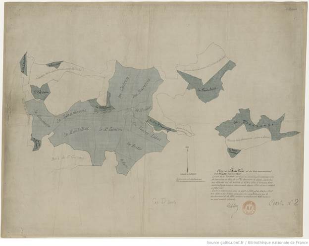 Plan de la Forêt-Verte et du bois communal de la Muette depuis 1861