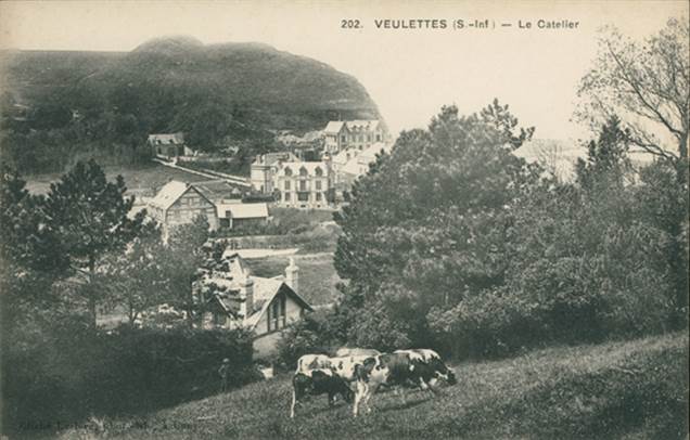 76 VEULETTES SUR MER / Le Catelier / - France