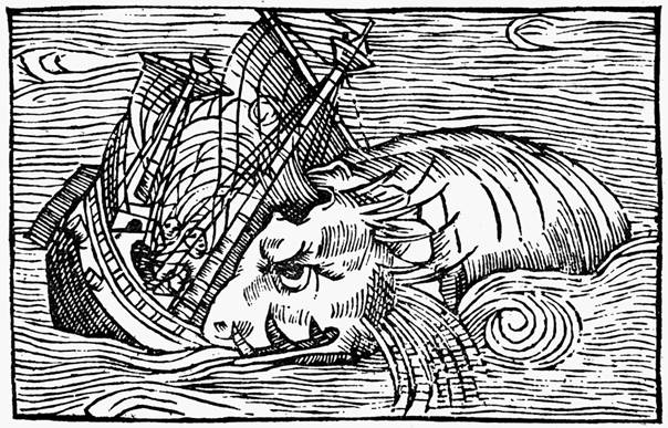 Sea Monster, 1555. /Nwoodcut From Olaus Magnus&#39; &#39;Historia De Gentibus  Septentrionalibus,&#39; Rome, Italy, 1555. Poster Print by Granger Collection -  Item # VARGRC0079509 - Posterazzi