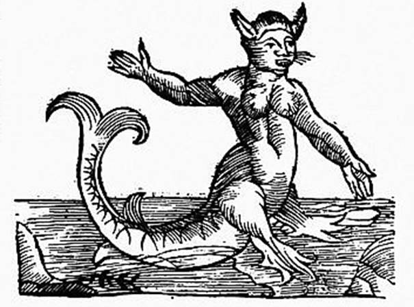superstition,  mythological creatures,  mermaid (Nereid),  woodcut from 'Historia animalium' by Conrad Gesner,  1551/ 1558