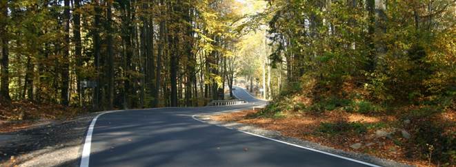 paysage, arbre, forêt, route, lumière du soleil, Matin, feuille, Autoroute, asphalte, l'automne, voie, saison, Infrastructure, façon, Surface de la route, Automne asphalte, Plante ligneuse, Structure non constructible