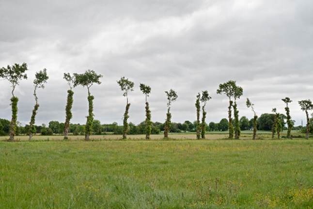 Vallons de Saint Thual
