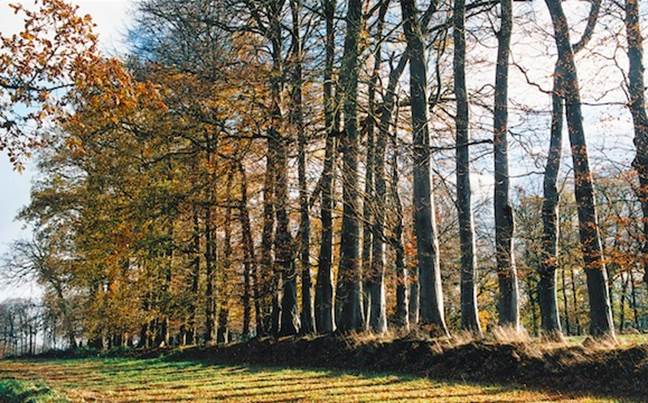 https://www.patrimoine-normand.com/images/c/clo/Clos-masure..jpg